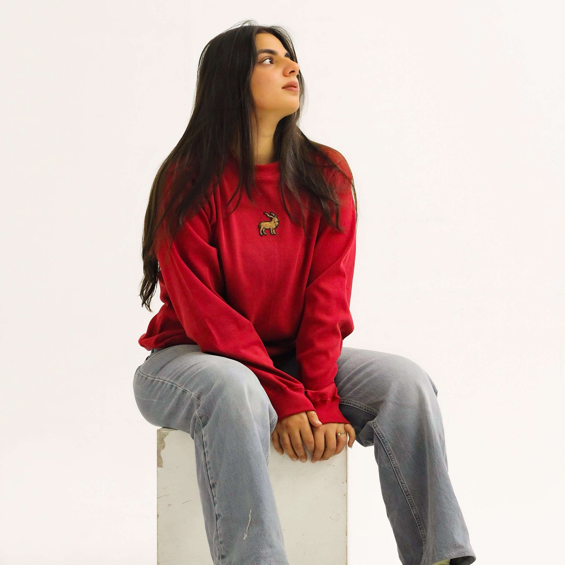Khaar Markhor Knit Sweater in Maroon Red – Female Model Sitting